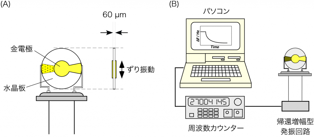 日本国産QCA922 水晶振動子化学計測システム + フィクスチャ(治具一式)セイコー・イージーアンドジー SII その他